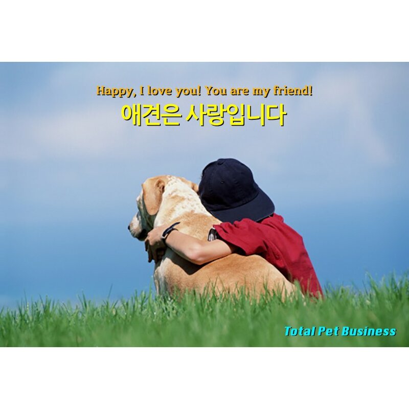 [뉴핫] 팜스코 중/대형견용 프리미엄 성견용사료 웰비스타 하이디, 2개, 8kg, 닭