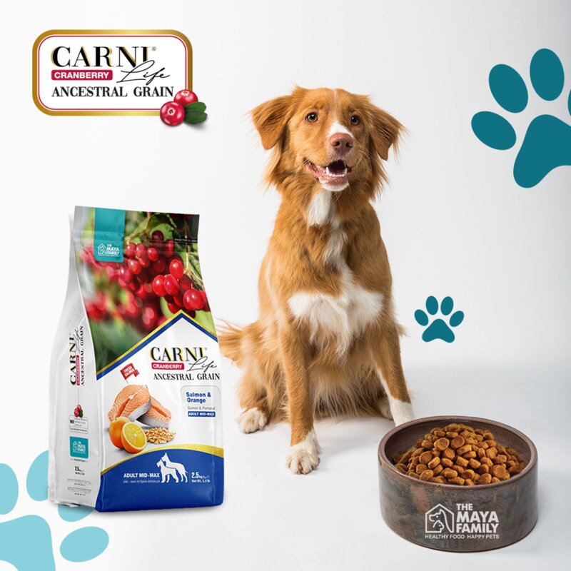 카니 라이프 크랜베리 연어&오렌지 MD-MAX(중대형견)2.5kg, 1개, 2.5kg