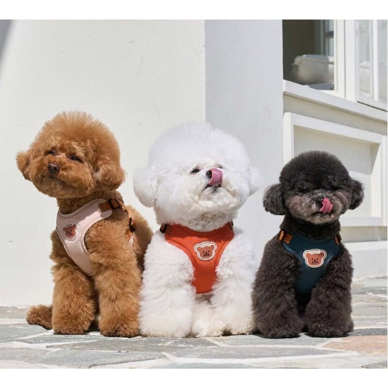 leoq 강아지 목줄 애견 줄 원터치 엑스 하네스 세트, 주황