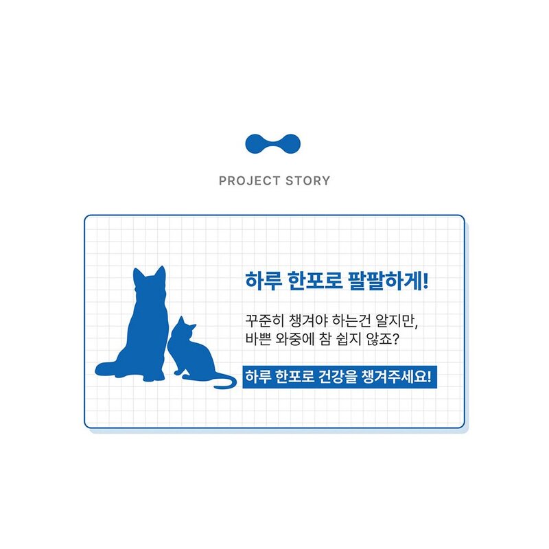 꽃담우리 강아지 고양이 눈 영양제, 1세트, 무, 눈물 개선/눈건강