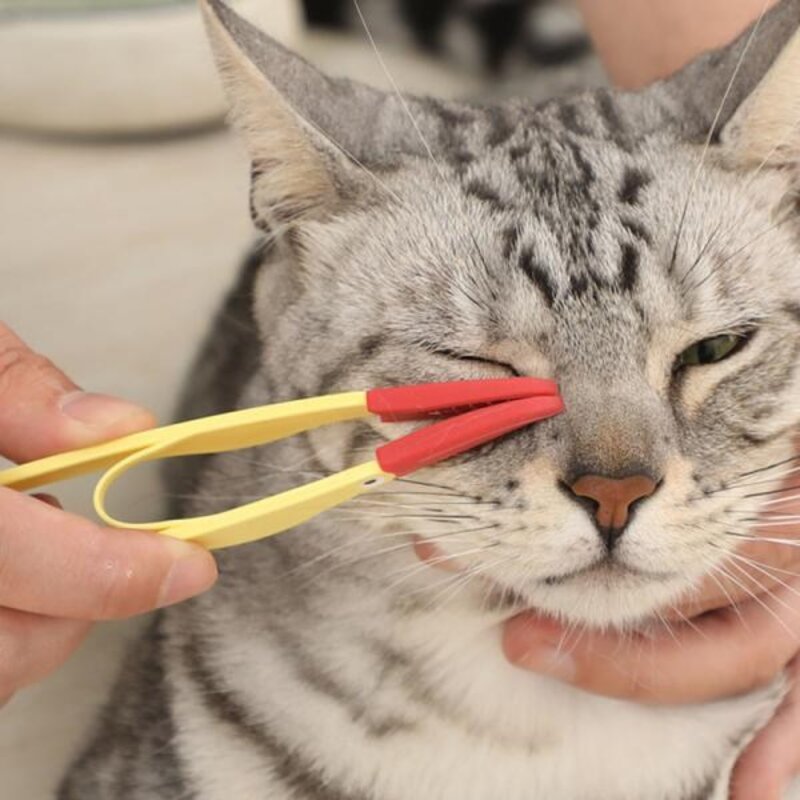 고양이 강아지 털 스팀 브러쉬 장모 단모 털제거 부드러운 실리콘 개 눈물 자국 브러시 눈 청소 빗 배설물 제거제 클리너 클립 애완 동물 용품 제품, 4) yellow