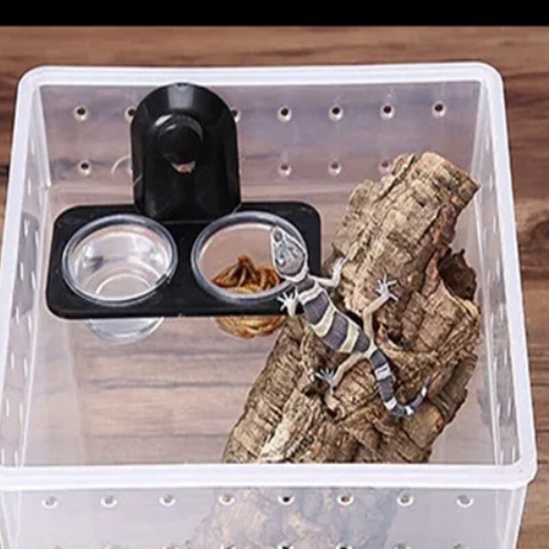 파충류 먹이그릇 투명먹이통 반려동물용품, 2구