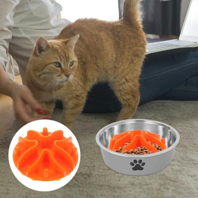 삽입 애견간식통 먹이 염소통 대형견사료통 피더 고양이 액세서리 그릇 개 용품, Orange