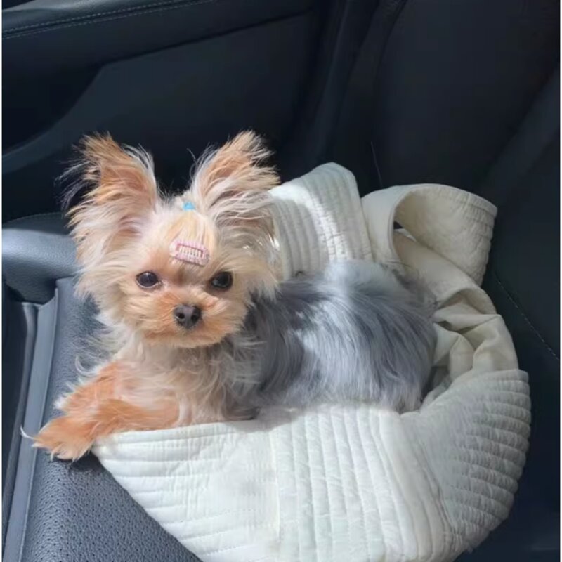 설아네 꿀살림 강아지 고양이 애견 슬링백 소형 중형 대형 여름 백팩 아이보리 캐리어 이동 가방 산책 숄더백 백팩 포대기, S