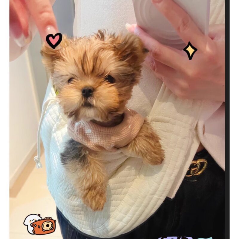 설아네 꿀살림 강아지 고양이 애견 슬링백 소형 중형 대형 여름 백팩 아이보리 캐리어 이동 가방 산책 숄더백 백팩 포대기, S