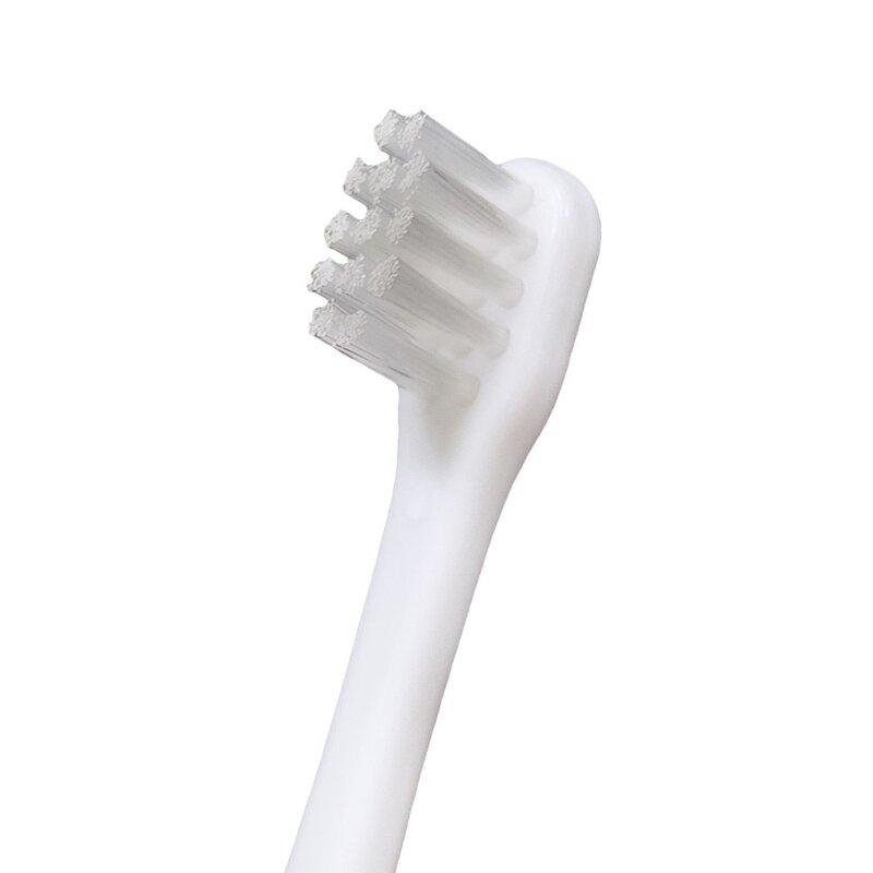 더독 반려동물 다양한 칫솔모 화이트닝 덴탈 칫솔 키트 세트, 1세트