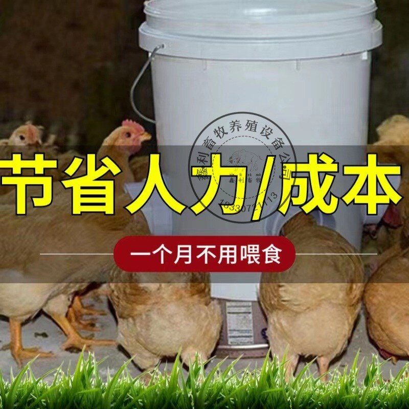닭 급식기 사료통 모이통 자동 양계장 조류 먹이통 타이머, 피더 3개 + 구멍이 뚫린 드럼(10L)