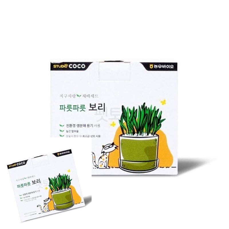 MF04 지구사랑 재배세트 파릇파릇 보리 냥이간식 헤어볼영양제 캣그라스재배키트