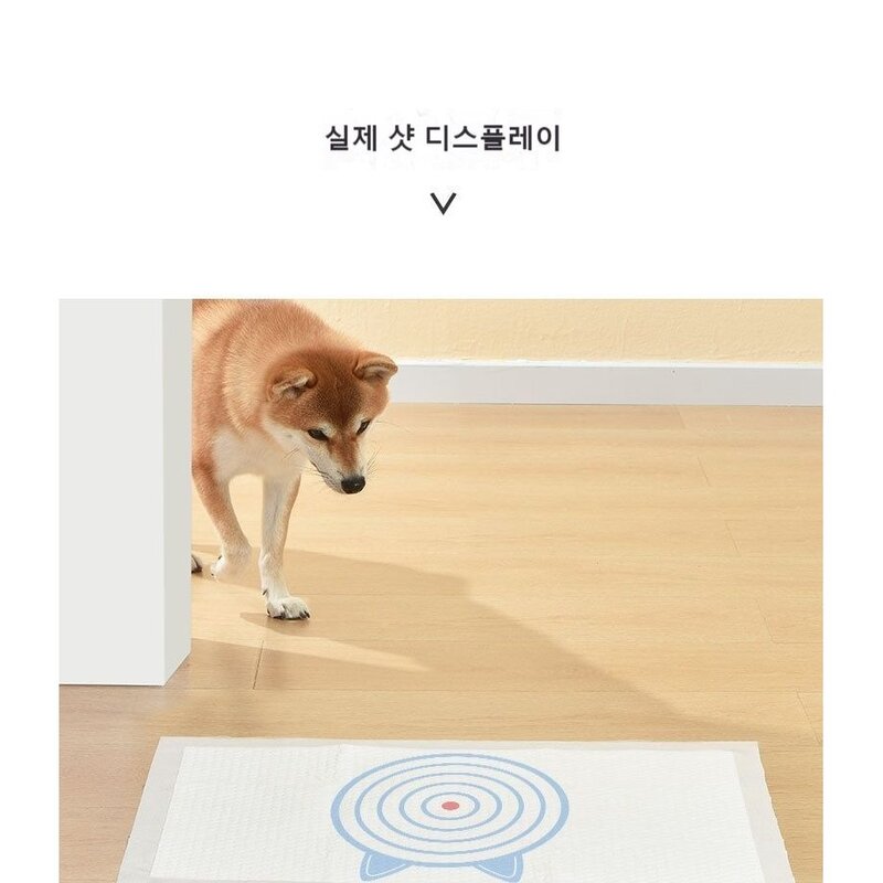 접착 유도 흡수 매트 종이 강아지 두꺼운 탈취 반려동물 표적 훈련 배, 표적심뇨패드L(60x60) 25정