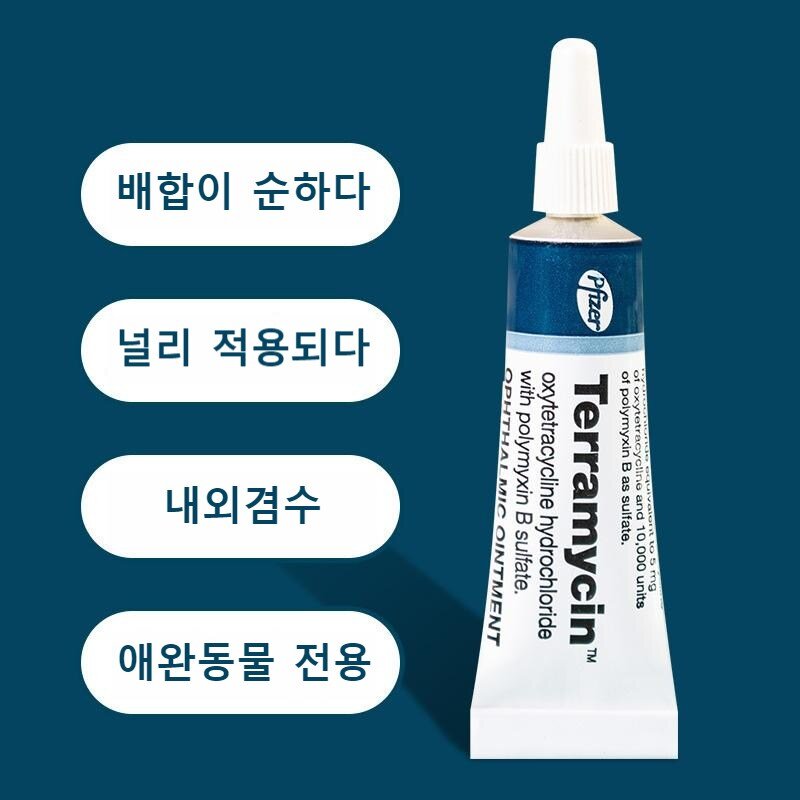 [미국 히트 국내출하] 안연고 결막염 눈병 강아지 결막염 안연고 반려견 반려묘 눈 감염 세균성 염증연고, 1개, 5ml