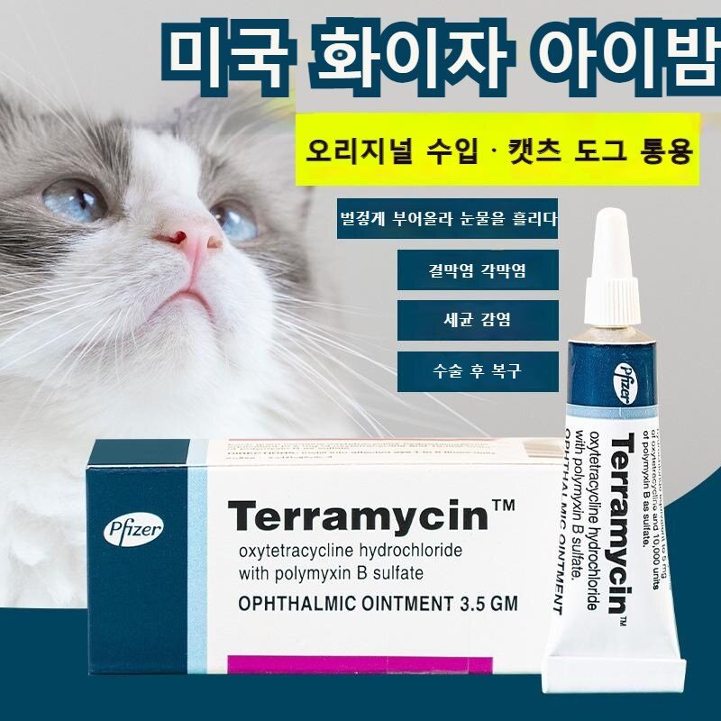 [미국 히트 국내출하] 안연고 결막염 눈병 강아지 결막염 안연고 반려견 반려묘 눈 감염 세균성 염증연고, 1개, 5ml