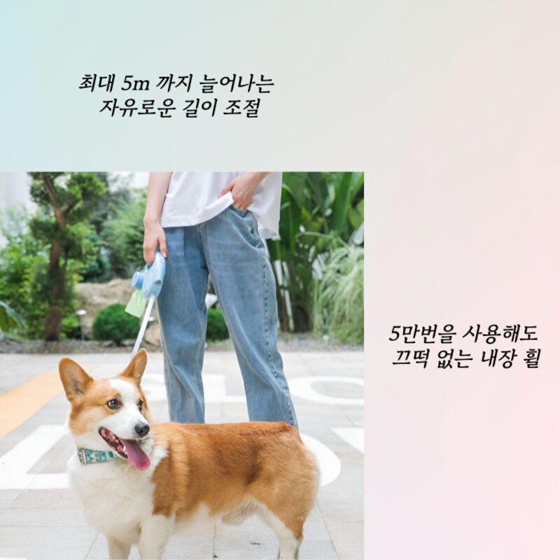 펫드컴퍼니 강아지 led자동리드줄 반려동물 산책배변봉투 수납, 핑크
