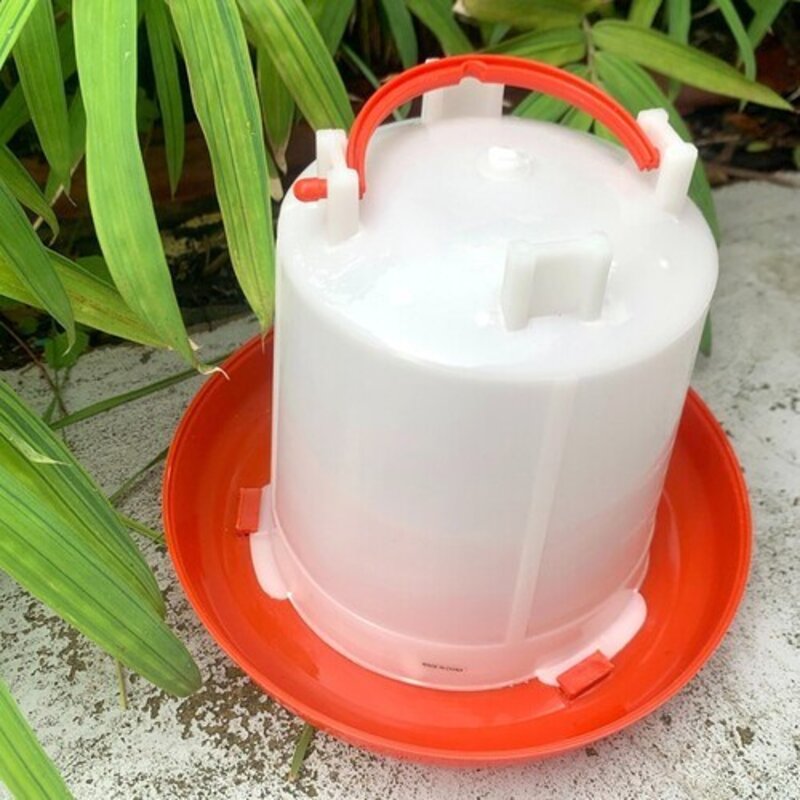 900ml 급수기 닭 물통 병아리 키우기 물병, 1개