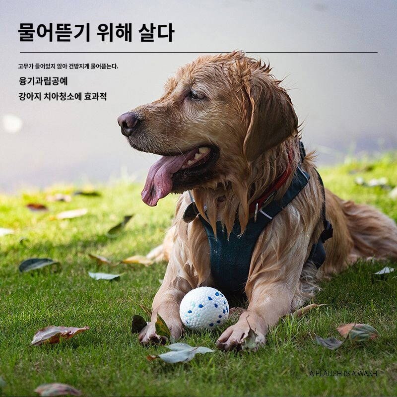 애견완구볼류 물기 자화자찬기 놀리기 강아지 보더 전용 대형견, 삼원색(L사이즈)