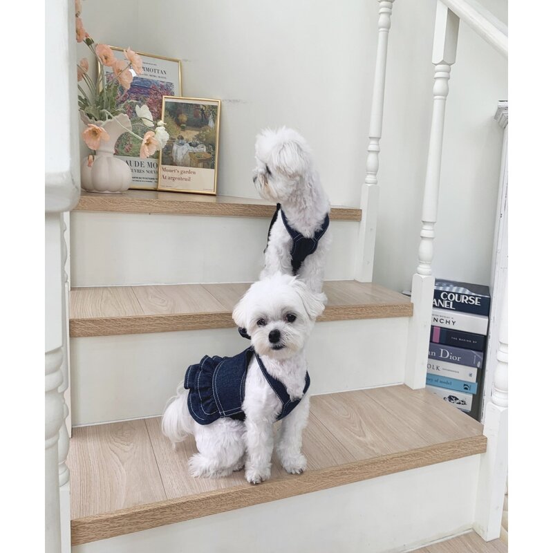 카로펫 강아지 고양이 청 하네스 옷 데님 원피스 티셔츠
