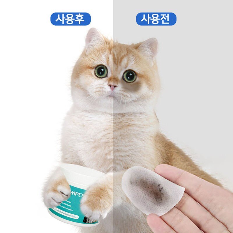 애견 고양이견 전용 물티슈 아이클리닝 패드 100매 1P 눈물자국 티슈 SYS-08, 1개, 120g