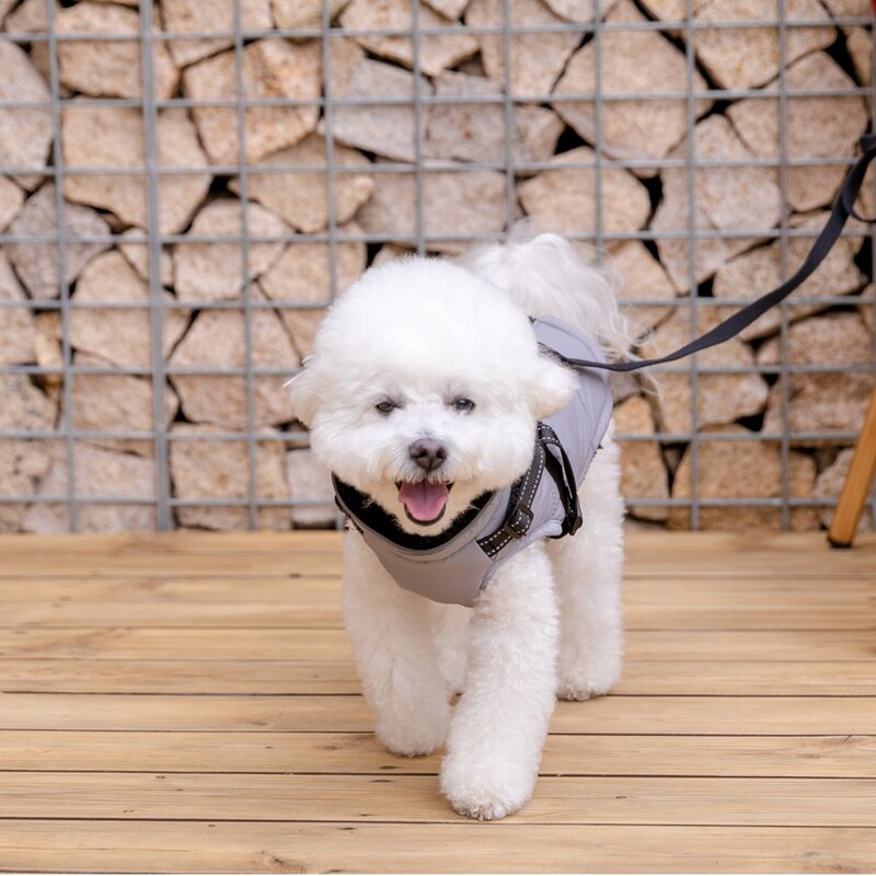 애니멀로우 강아지 하네스 겨울 패딩 방한복, 1개, 그레이