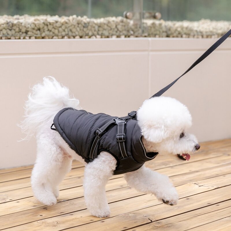 애니멀로우 강아지 하네스 겨울 패딩 방한복, 1개, 그레이