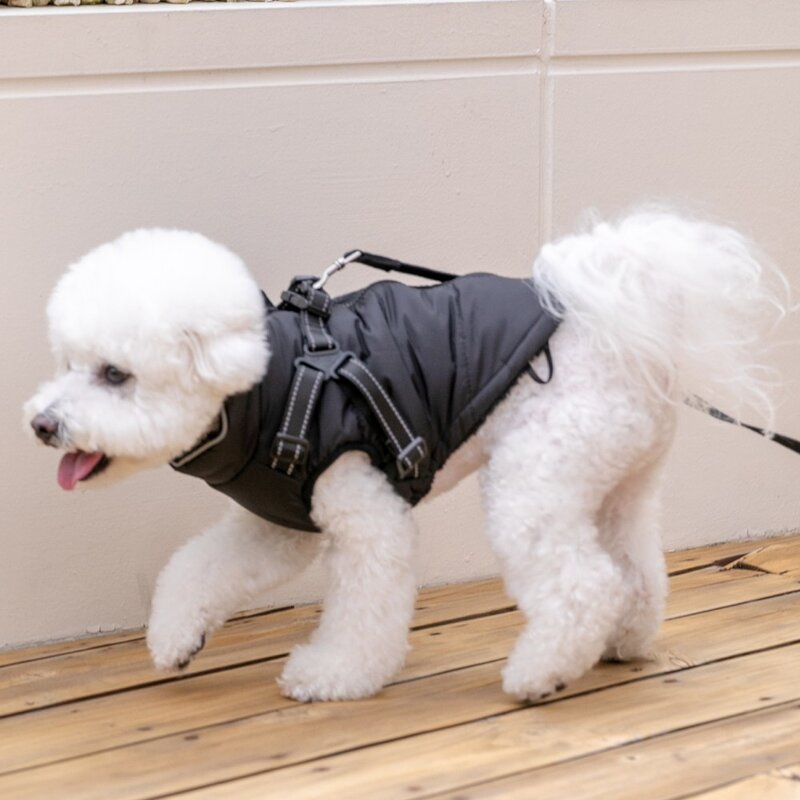 애니멀로우 강아지 하네스 겨울 패딩 방한복, 1개, 그레이