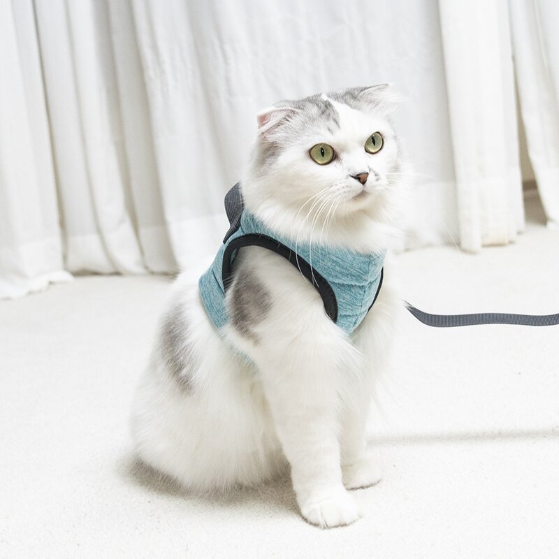 고양이산책줄 가슴줄 하네스 목줄 고양이전용 쿠션 산책줄 에어핏 산책냥이 산책냥, 민트, 1개