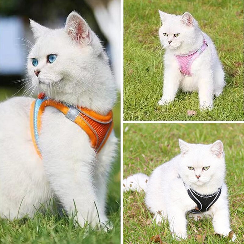 도매짱 고양이하네스 고양이목줄 고양이 전용 산책줄 가슴줄, 스카이, 1개