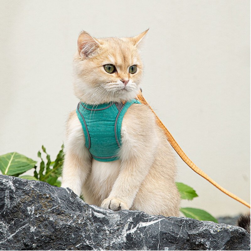 캣튜디오 고양이 전용 하네스 산책줄 조끼형 리드줄 포함, 오렌지블루, 1개
