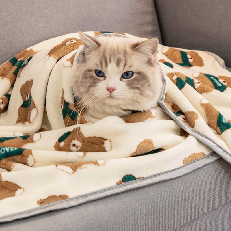 캣튜디오 고양이 얇은 겨울 담요 강아지 이불 방석 켄넬 극세사 마약 쿠션, 펭귄, 1개