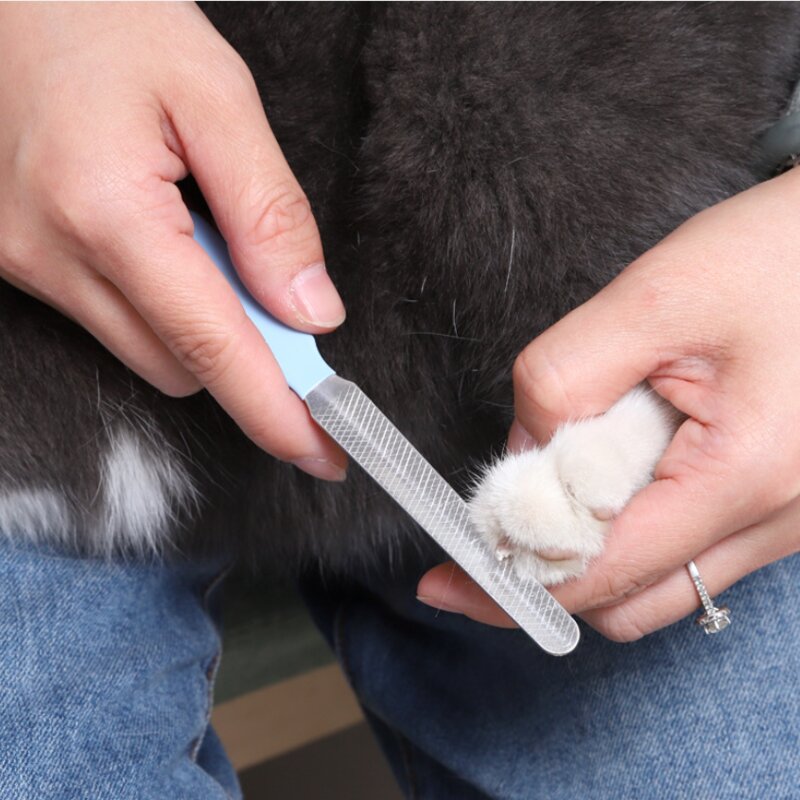 뷰티앤몬스터 반려동물 강아지 고양이 발톱깎이, 1세트, 블루