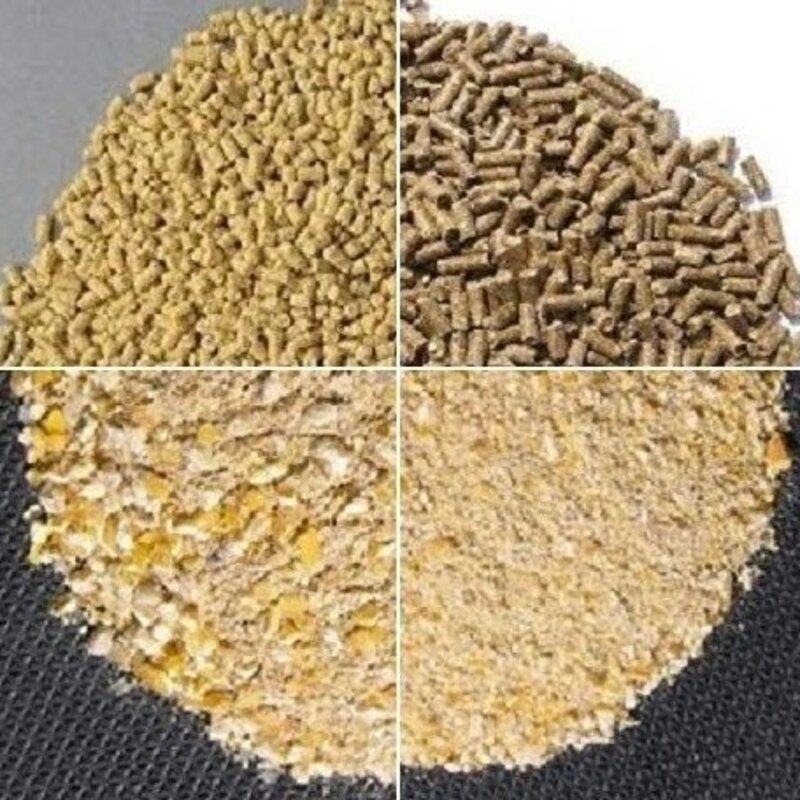 닭사료 병아리 중닭 큰닭 잉어사료 낚시 떡밥, 2kg, 1개