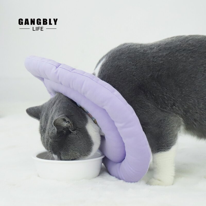 강블리 반려동물 넥카라, 퍼플, 1개