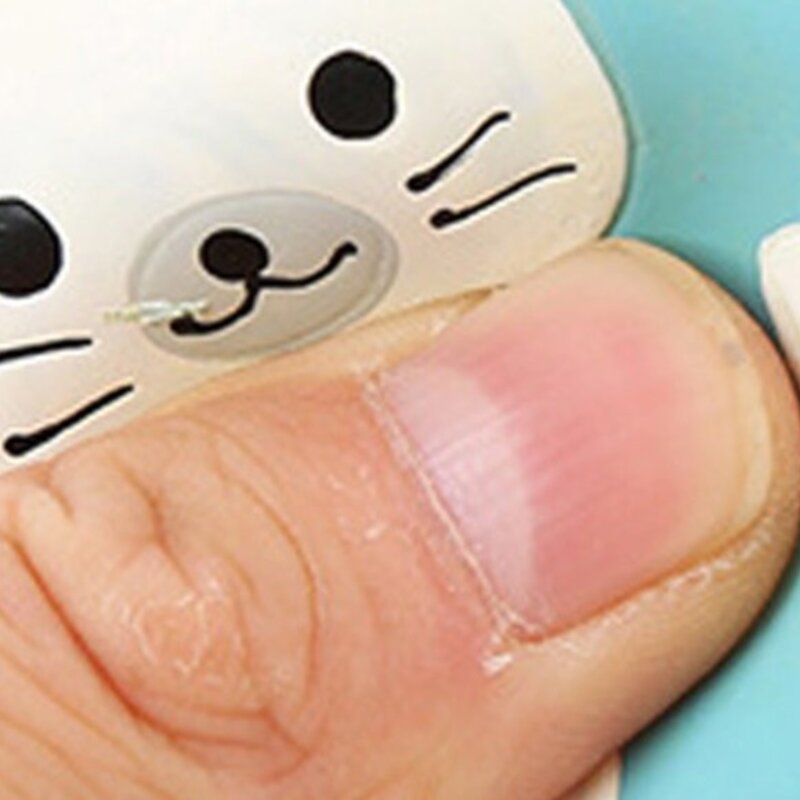 딩동펫 반려동물 뚜기장난감 라텍스 3종 세트, 혼합색상, 1세트
