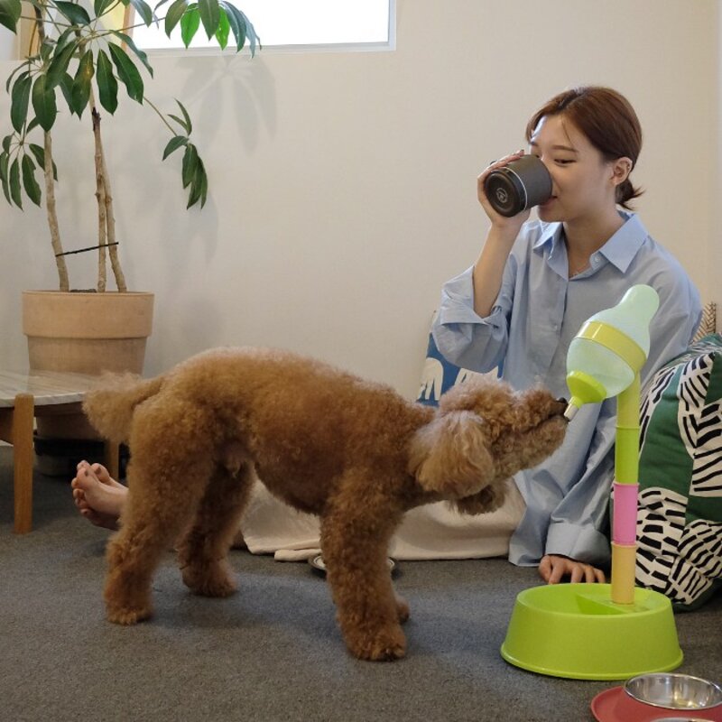 강아지 물통 스탠드 높이조절 물병 7종, 1개, 그레이