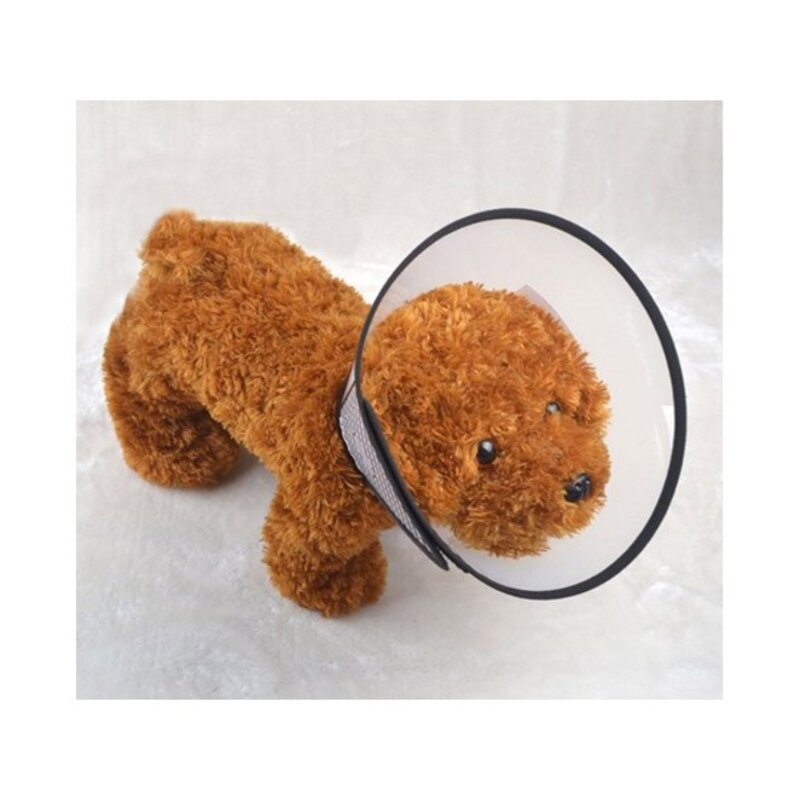 블럭마트 반려동물 넥카라 깔대기 4호 26~31 cm, 혼합색상, 1개