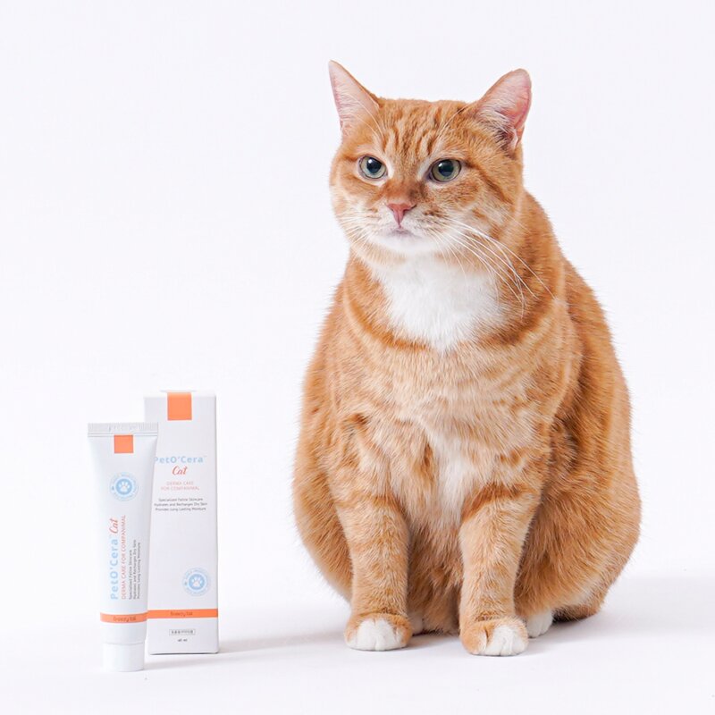 페토세라 고양이 발바닥 보습 세라마이드 크림, 40ml, 1개
