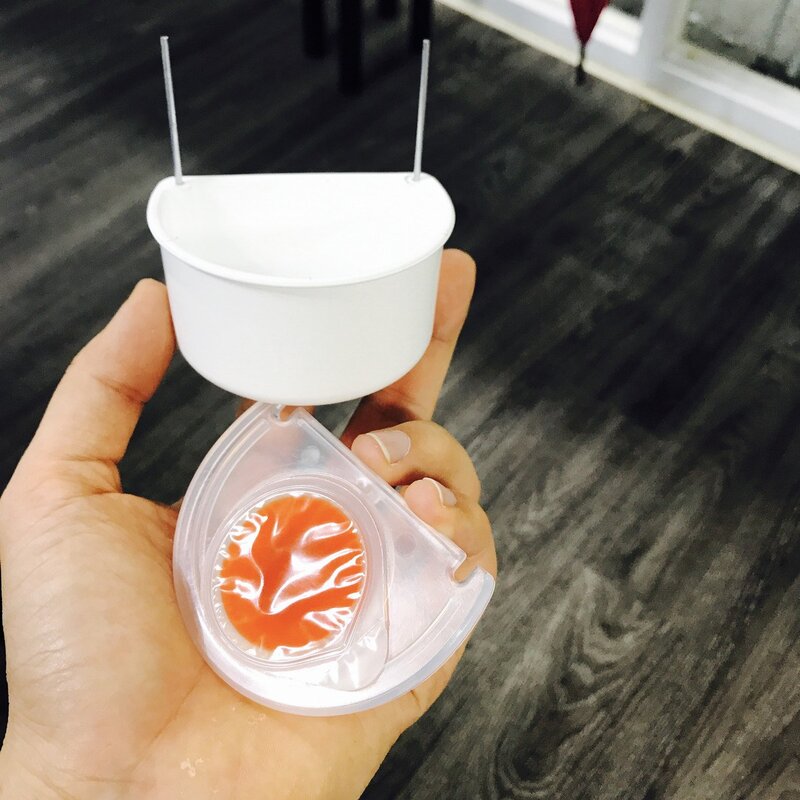 마루칸 앵무새 젤리 12개(1봉지) 앵무새 간식 모든 새 기호도 좋은 달콤간식, 1봉