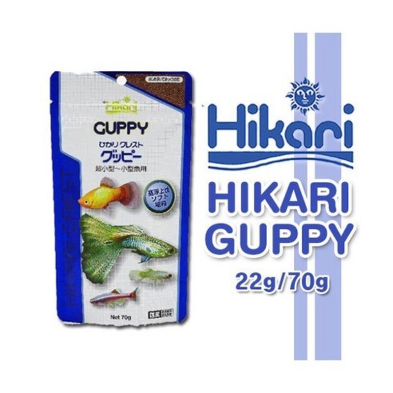 팝아쿠아 히카리 구피 구피사료, 22g, 1개