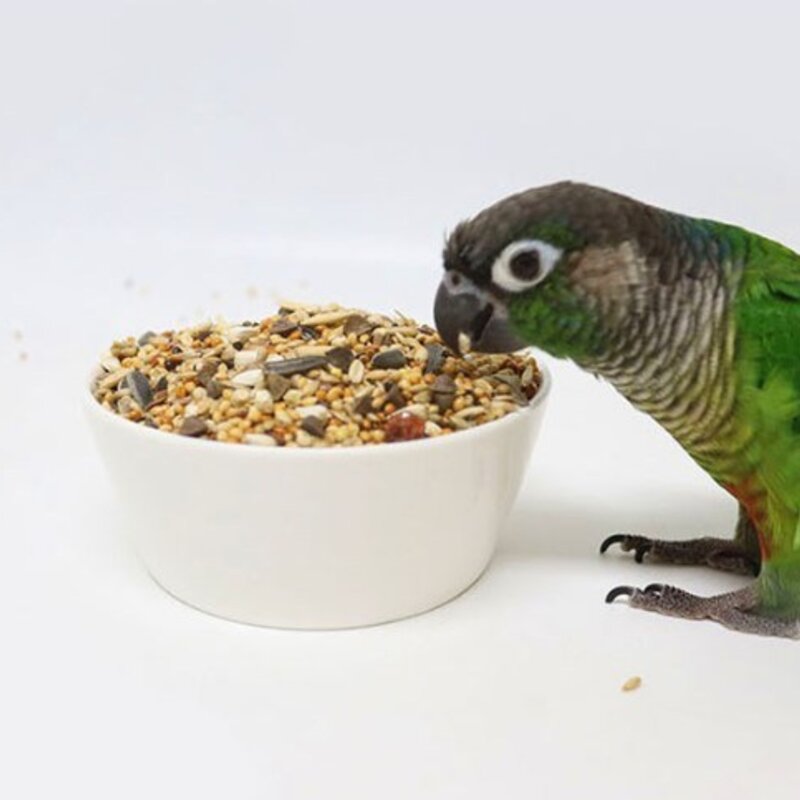 리오 왕관 모란 코뉴어 앵무새 사료 21032, 1kg, 2개