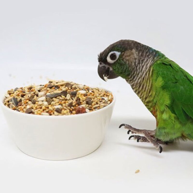 리오 왕관 모란 코뉴어 앵무새 사료 21032, 1kg, 2개
