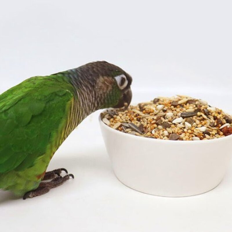 리오 왕관 모란 코뉴어 앵무새 사료 21032, 1kg, 2개