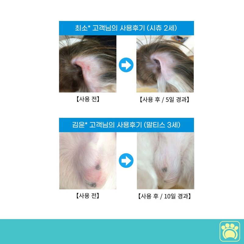 리베온펫 강아지 고양이 피부염 피부 스프레이 곰팡이성피부염 링웜 피부병 가려움증, 1팩, 300ml