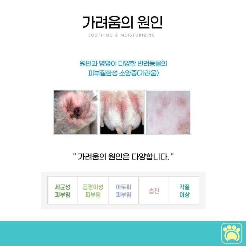 리베온펫 강아지 고양이 피부염 피부 스프레이 곰팡이성피부염 링웜 피부병 가려움증, 1팩, 300ml