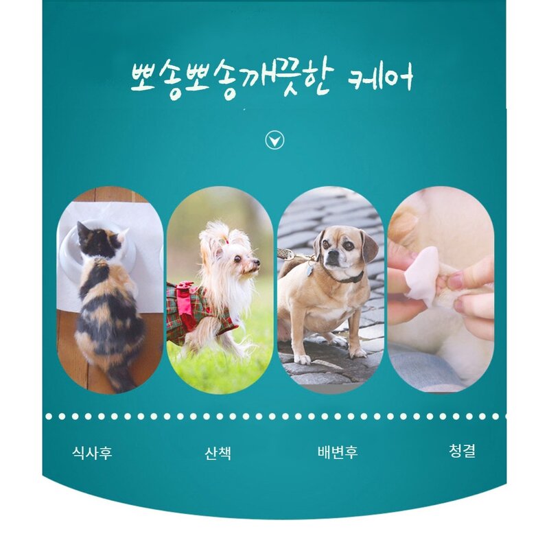 펫뽀송뽀송강아지물티슈 클리너, 30매, 1개, 100개