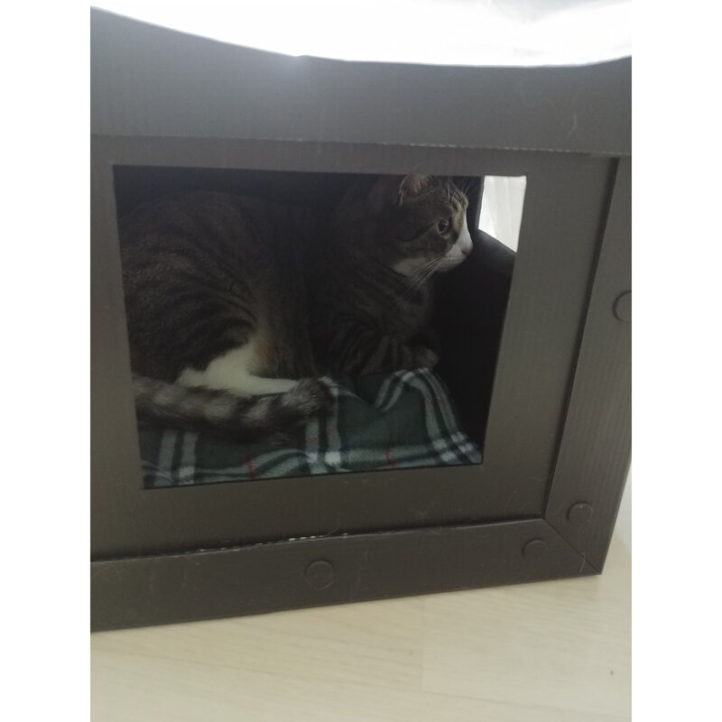 길고양이 담요 길고양이 보온, 1개