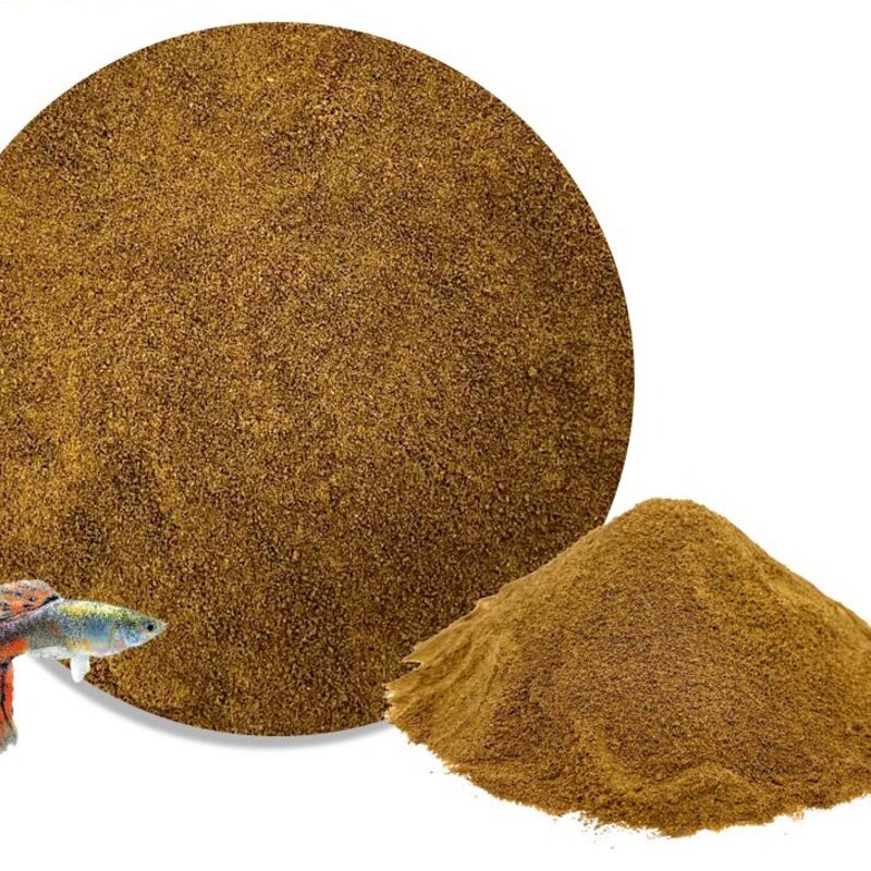 아쿠아테라 프리미엄 고단백 구피 사료, 50g, 1개