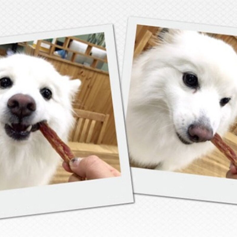 네츄럴코어 천연 오리가슴살 강아지 스틱, 오리, 180g, 1개