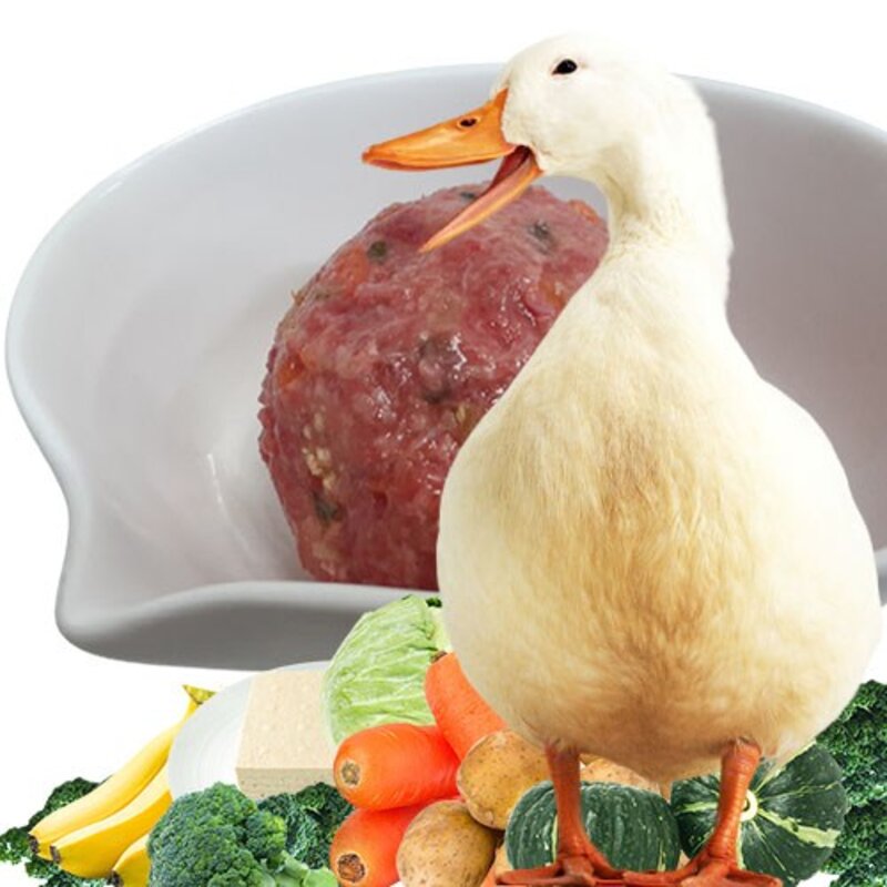 펫바프 펫푸드 강아지생식 바프식 오리 88% 야채퓨레 7종 12% 혼합제품 1kg 수제 자연식 오리생식 화식, 1개