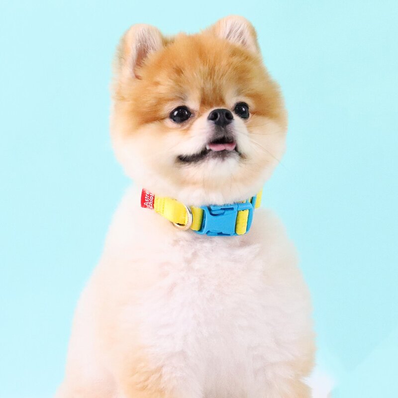[아스터슈] H형 컴피 강아지 산책용 하네스 강아지목줄 애견용품, YELLOW+BLUE, 1개