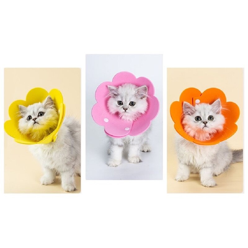 5H펫 강아지 고양이 방수 EVA 넥카라 중성화 깔대기, 1개