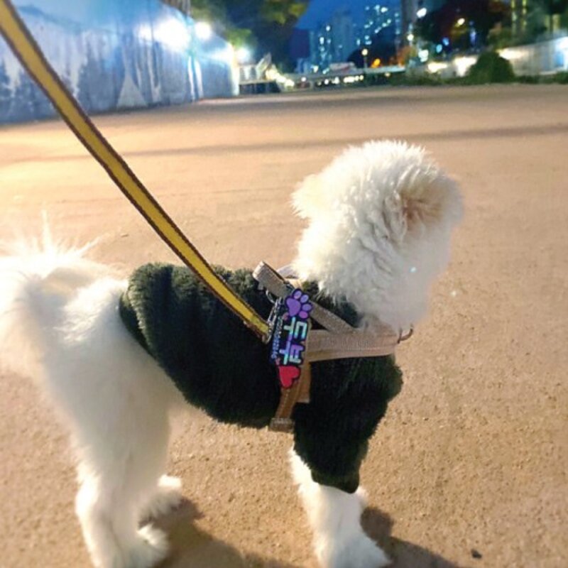 반려동물 강아지인식표 고양이이름표 명찰 홀로그램 4가지디자인+(2개이상구매시이벤트추가증정) 주문제작, 1개