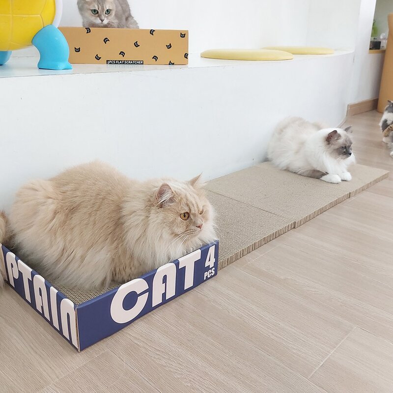 가또나인 4PC 캡틴캣 고양이 스크래쳐, 1개